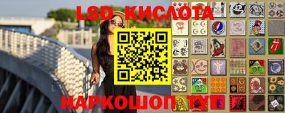 тгк Камышлов