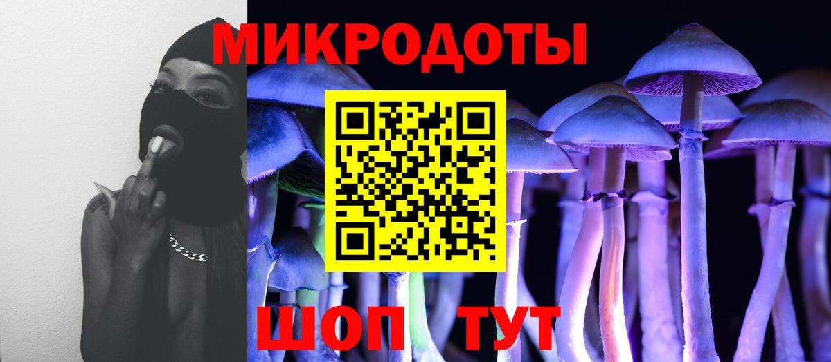 Галлюциногенные грибы мухоморы  Вход с VPN  Лесной 